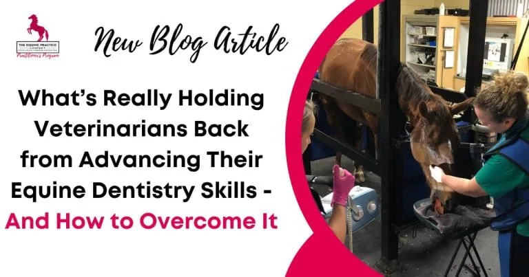 What’s Really Holding Veterinarians Back from Advancing Their Equine Dentistry Skills - And How to Overcome It
