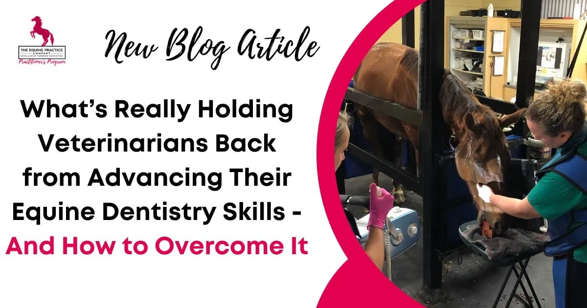 What’s Really Holding Veterinarians Back from Advancing Their Equine Dentistry Skills - And How to Overcome It