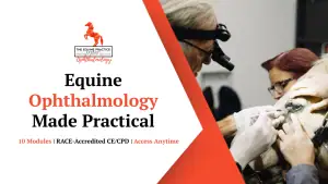 Equine Ophthalmology Program Subscription