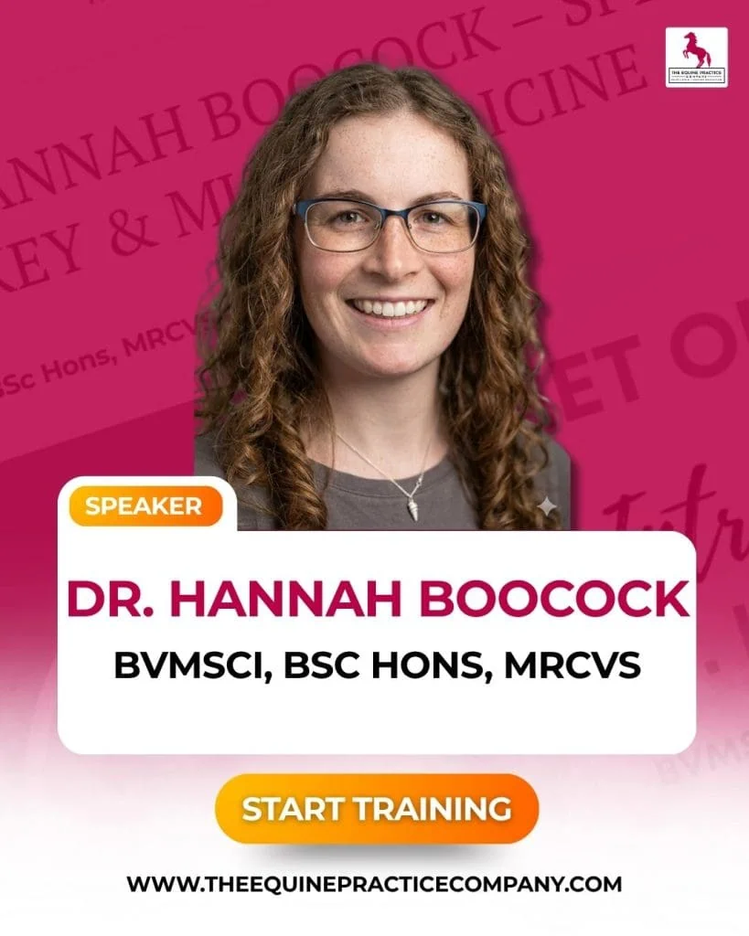 photo of dr. hannah boocock - equine veterinarian