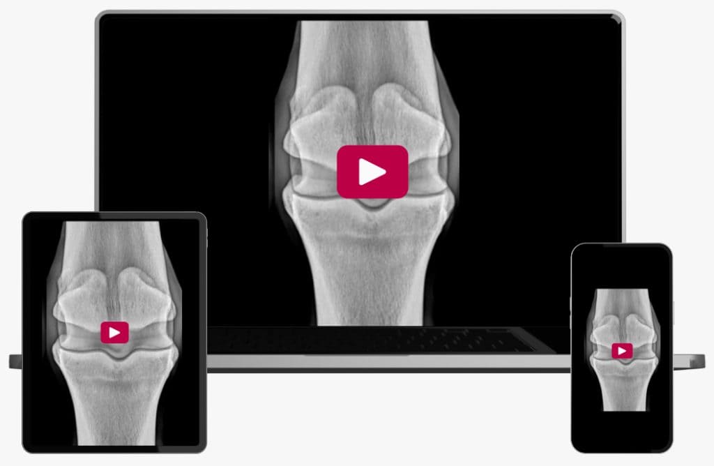 Radiology of the Fetlock
and Pastern with Dr. Bri Henderson BVMS MRCVS DACVSMR