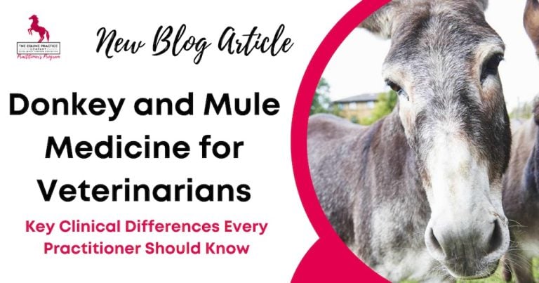 Donkey and Mule Medicine for Veterinarians