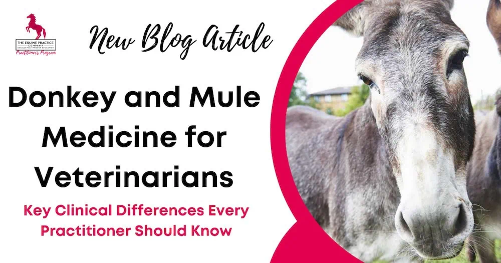 Donkey and Mule Medicine for Veterinarians
