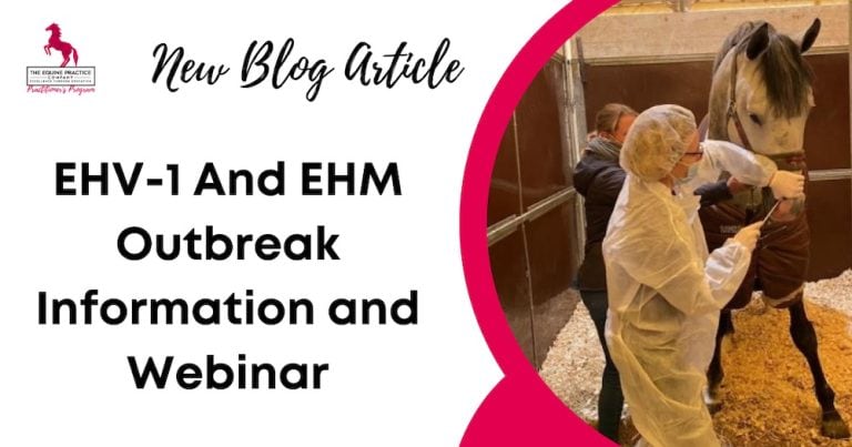 EHV-1 And EHM Outbreak Information and Webinar