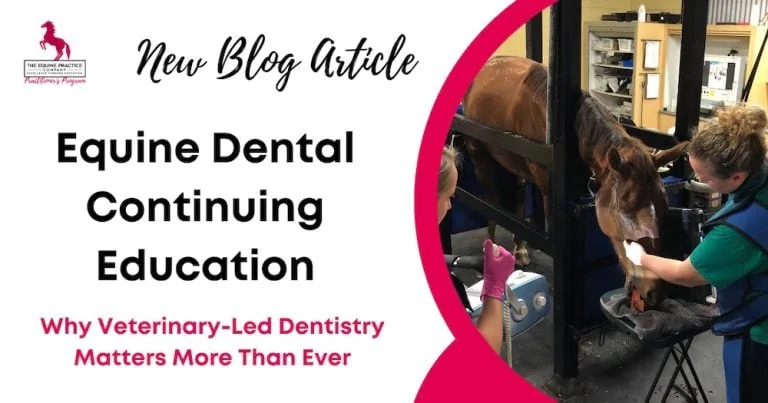 Equine Dental Continuing Education