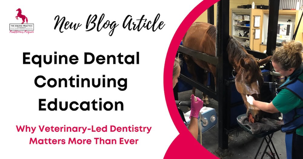 Equine Dental Continuing Education