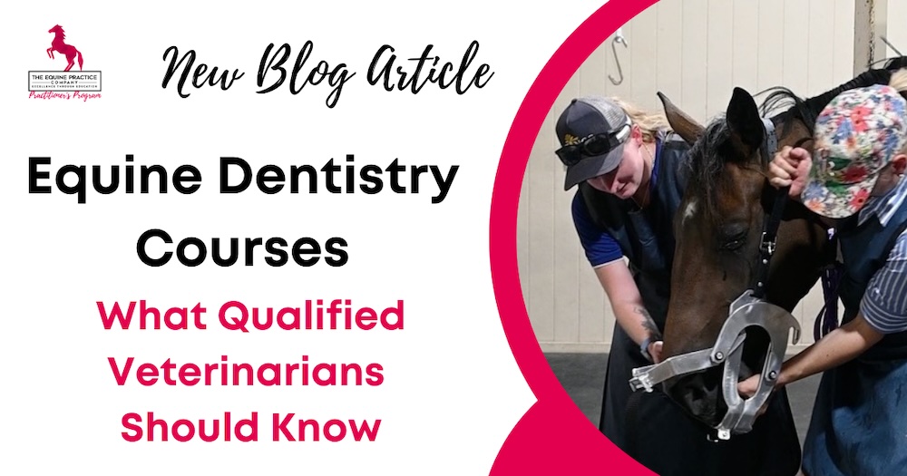 Equine-Dentistry-Courses
