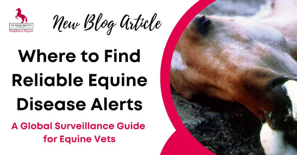 Where to Find Reliable Equine Disease Alerts