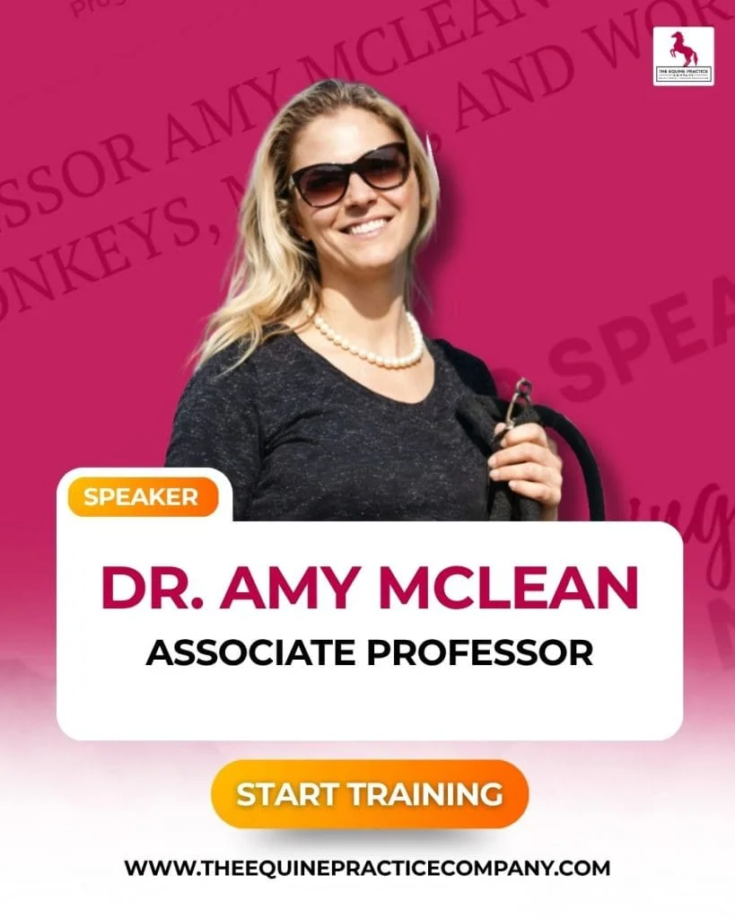 photo of associate professor amy mclean - equine medicine
