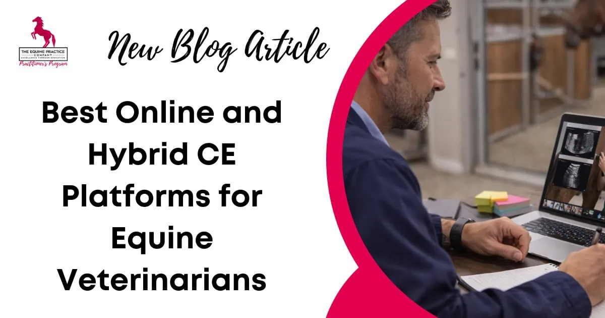 Promotional graphic for a blog article about the best online and hybrid continuing education platforms for equine veterinarians, featuring a veterinarian reviewing equine ultrasound images on a laptop.