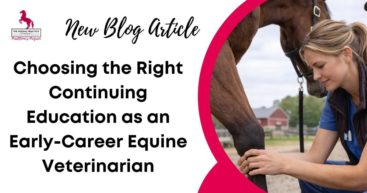 Promotional graphic for a blog article on choosing continuing education as an early-career equine veterinarian, featuring a veterinarian examining a horse’s lower leg.