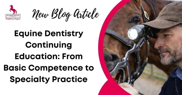Promotional graphic for an equine dentistry continuing education blog article featuring a veterinarian performing a horse dental examination with specialized equipment.