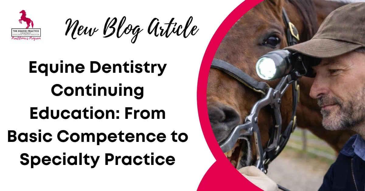 Promotional graphic for an equine dentistry continuing education blog article featuring a veterinarian performing a horse dental examination with specialized equipment.