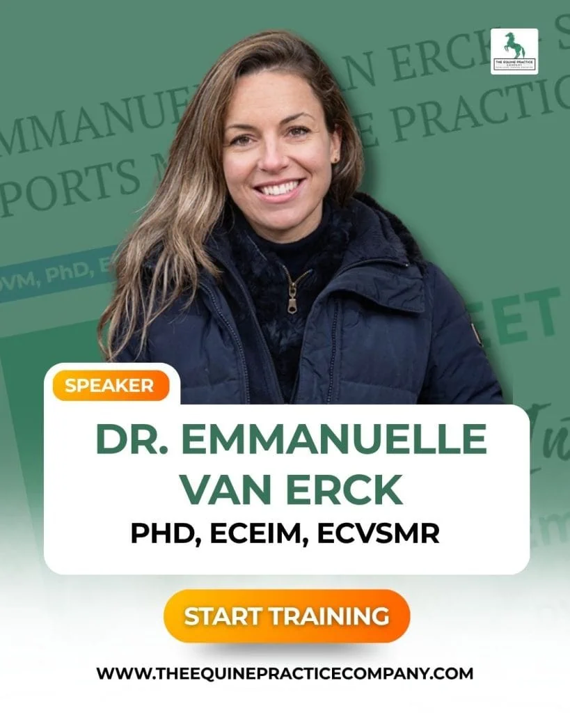 doctor of veterinary medicine in equine lameness - photo of dr. emmanuelle van erck