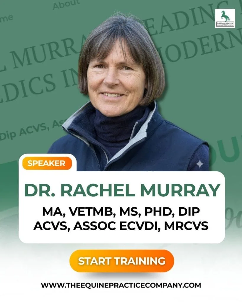 dr. rachel murray dvm image - equine veterinarian
