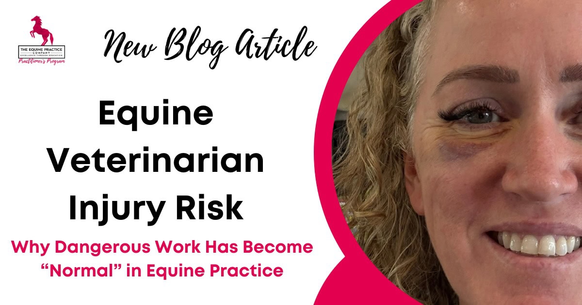 Equine Veterinarian Injury Risk