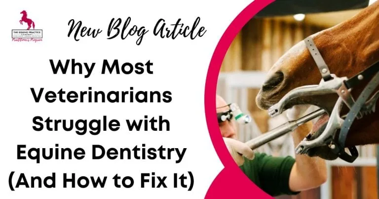 Veterinarian performing equine dental procedure featured in article about challenges in equine dentistry