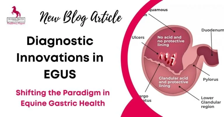 Graphic promoting a blog article about diagnostic innovations and equine gastric ulcer syndrome (EGUS) management in horses.