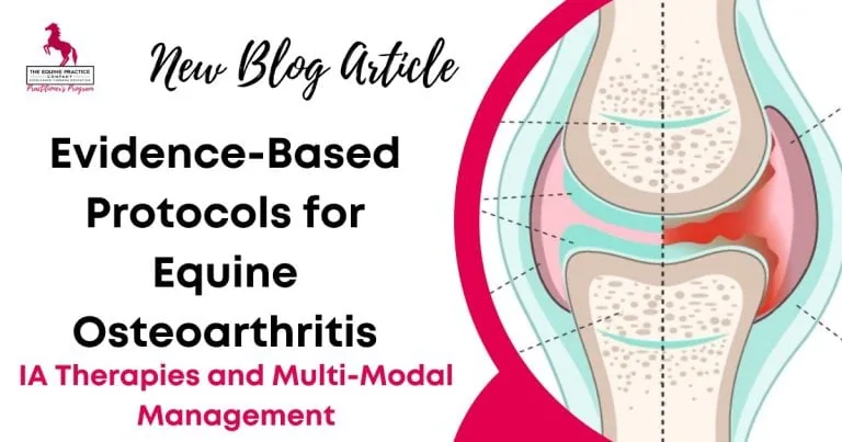Graphic promoting a blog article about evidence-based treatment protocols and intra-articular therapies for equine osteoarthritis.