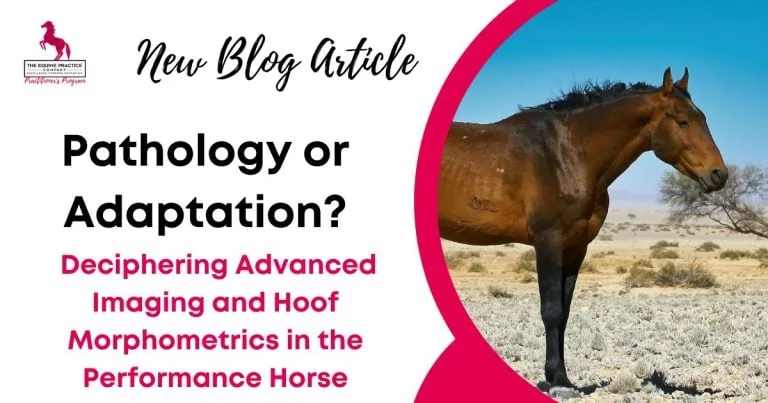 Graphic promoting a blog article about advanced equine imaging and hoof morphometrics in performance horses.