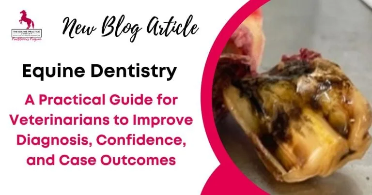 Blog article graphic for equine dentistry featuring a damaged horse tooth and text about improving diagnosis, confidence, and case outcomes