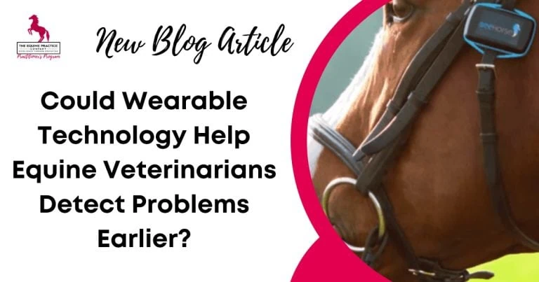Blog article graphic asking if wearable technology can help equine veterinarians detect problems earlier, featuring a horse wearing a monitoring device