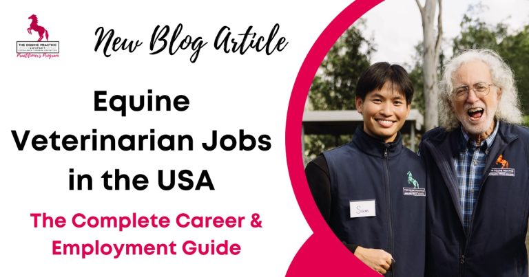 Equine Veterinarian Jobs in the USA