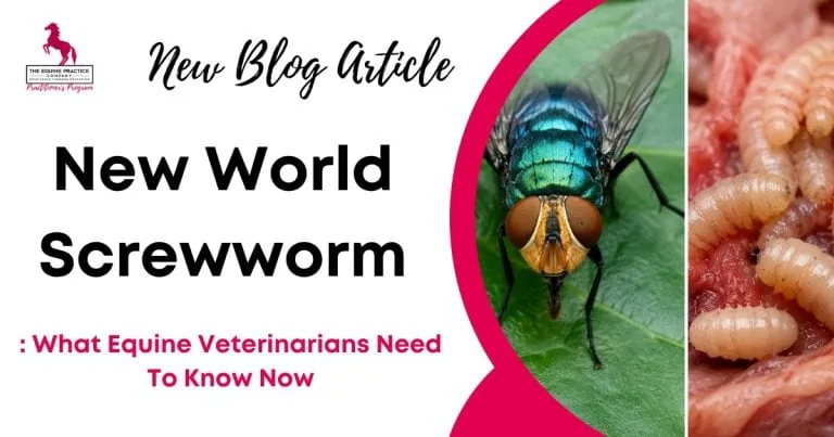 Graphic promoting a blog article about New World screwworm with images of a fly and screwworm larvae relevant to equine veterinary care.