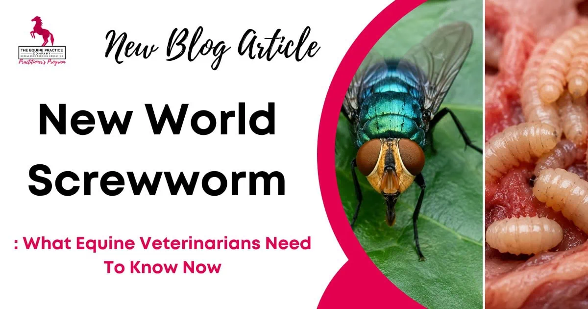Graphic promoting a blog article about New World screwworm with images of a fly and screwworm larvae relevant to equine veterinary care.