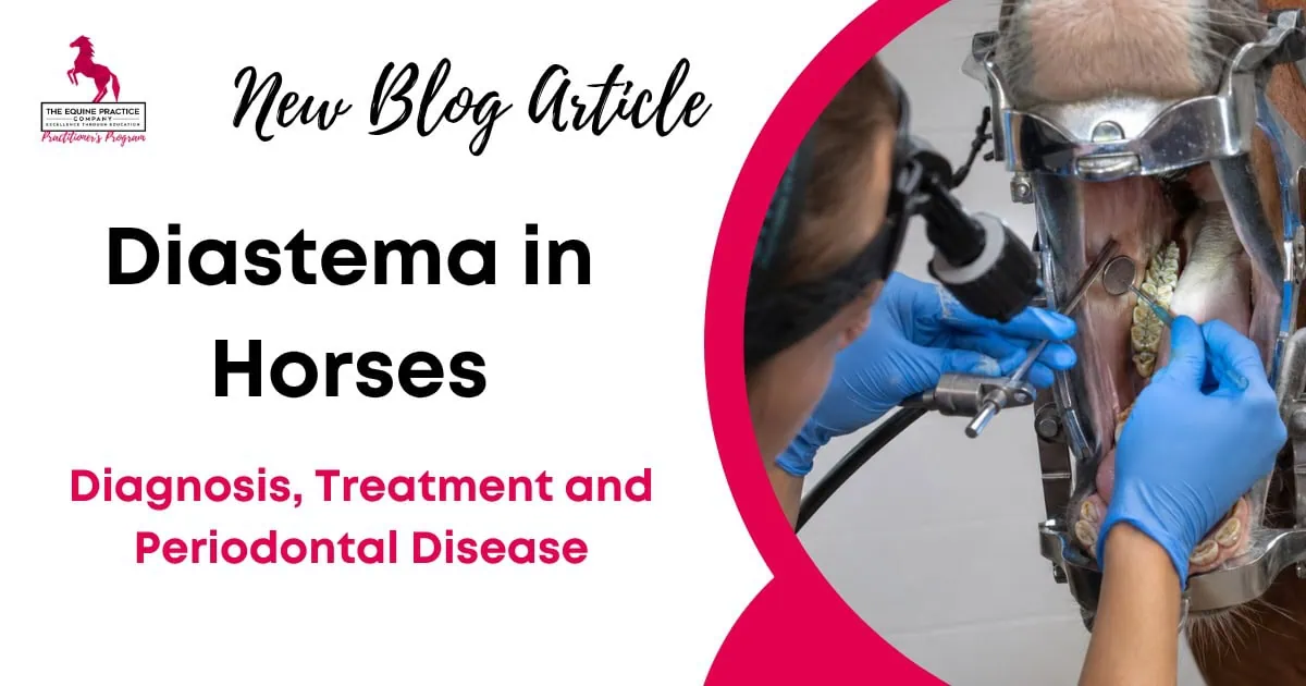 Diastema in Horses
