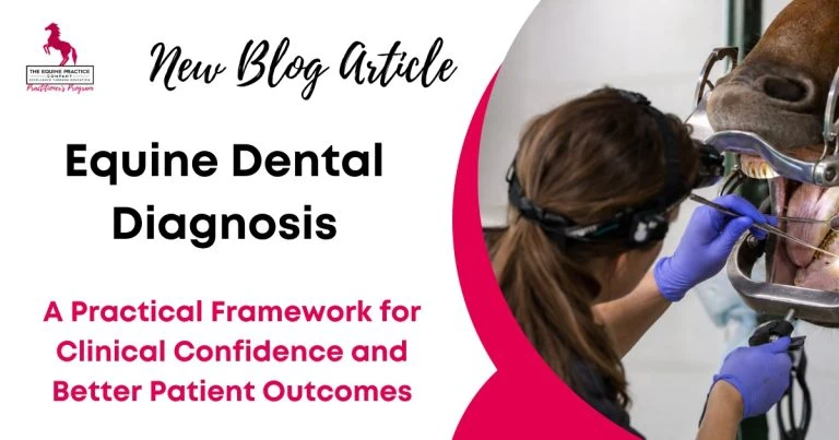 New blog article graphic titled “Equine Dental Diagnosis,” featuring an equine dental practitioner examining a horse’s mouth with specialized dental equipment.