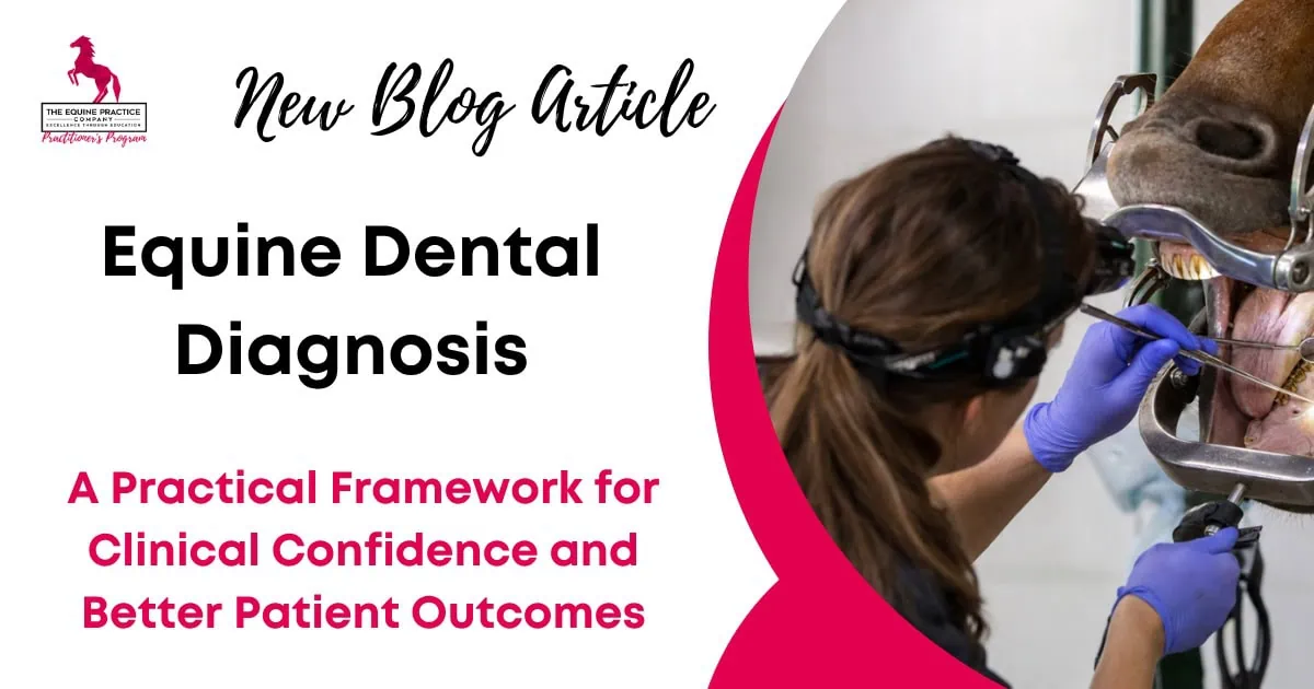 New blog article graphic titled “Equine Dental Diagnosis,” featuring an equine dental practitioner examining a horse’s mouth with specialized dental equipment.
