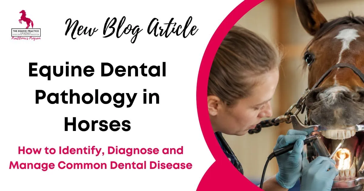 Equine Dental Pathology in Horses