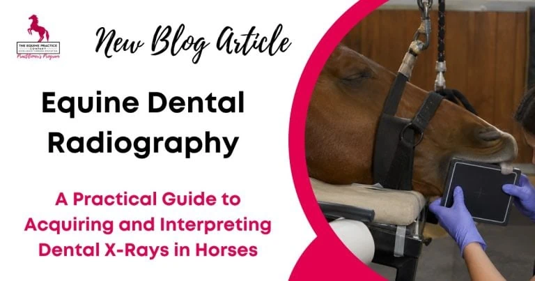 Equine Dental Radiography