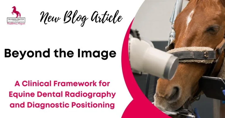 New blog article graphic titled “Beyond the Image,” featuring a horse undergoing dental radiography and a clinical framework for equine dental radiography and diagnostic positioning.