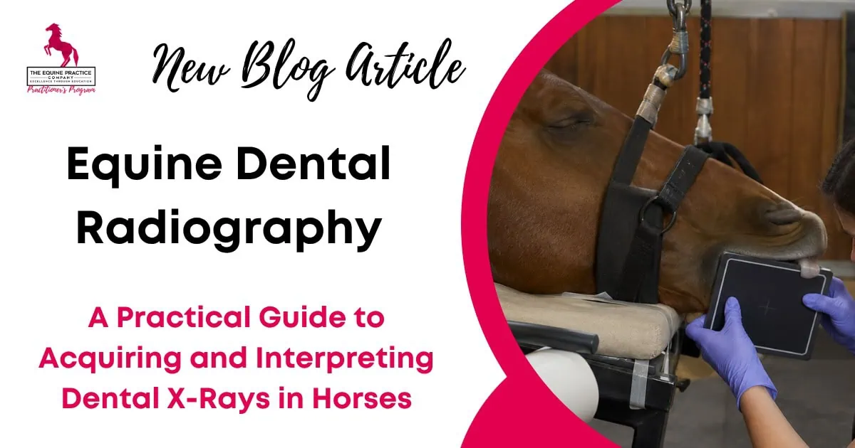 Equine Dental Radiography