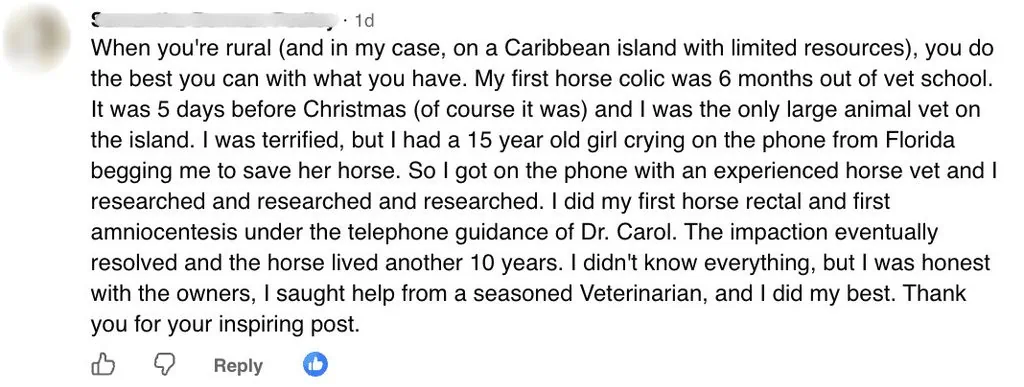 SDP, veterinarian - first horse colic six months out, rural/island practice, telephone mentorship.