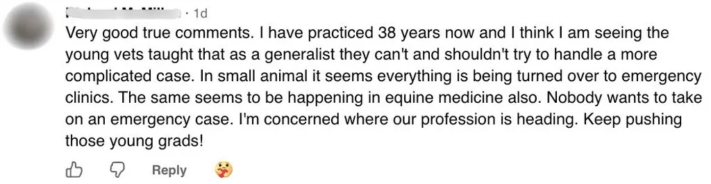 RM, veterinarian (38 years), on generalists, equine emergencies, and confidence after graduation.