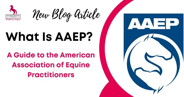 what is aaep