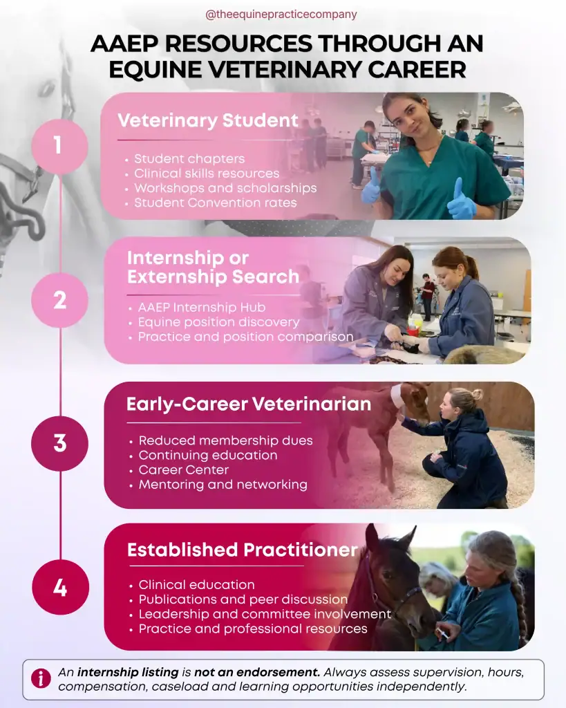 AAEP resources available to veterinary students, internship applicants, recent graduates and established equine practitioners.