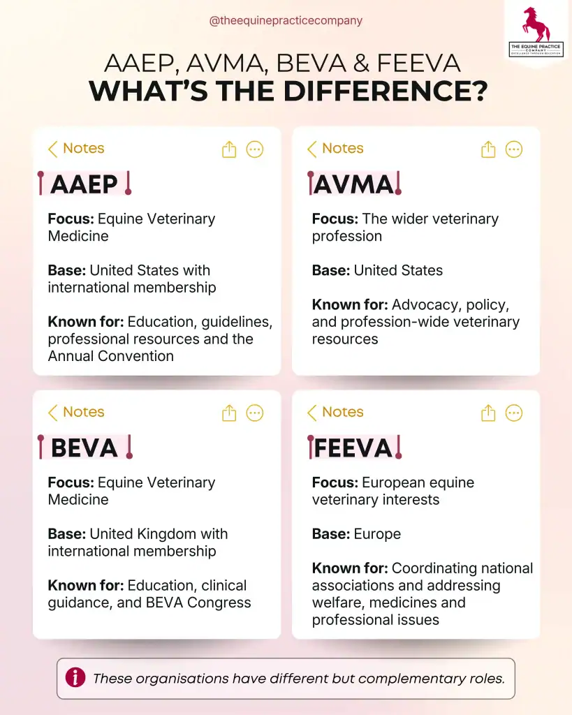 Comparison of the roles of AAEP, AVMA, BEVA and FEEVA for equine veterinarians.